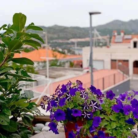 Michelle アパート